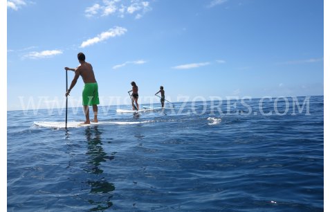 Stand Up Paddle Board