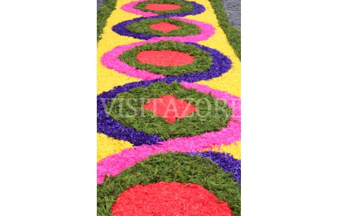 Carpets of flowers