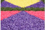 Carpets of flowers