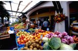Horta's Market