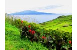 Faial - view of Pico island