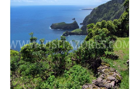 East coast near Ponta Ruiva, view
