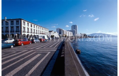 Main Avenue - Ponta Delgada