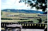 View over a tea plantation 